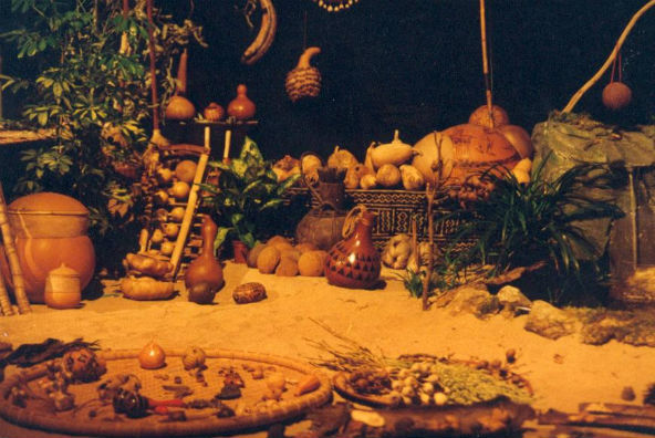 fruit